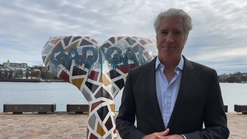 9News Waterfront Whale Tales Interview